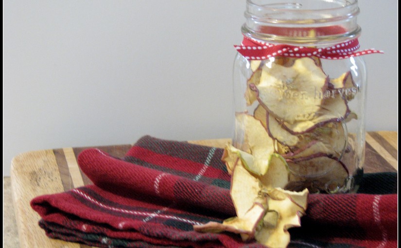 DIY Dried Apples for a Healthy Snack Option